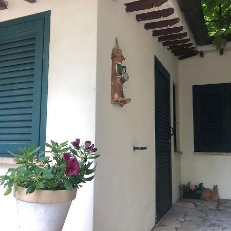 B&B Uva Fragola Перуджа Экстерьер фото