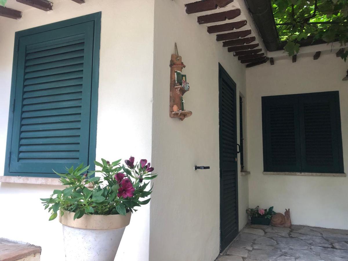 B&B Uva Fragola Перуджа Экстерьер фото