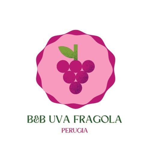 B&B Uva Fragola Перуджа Экстерьер фото