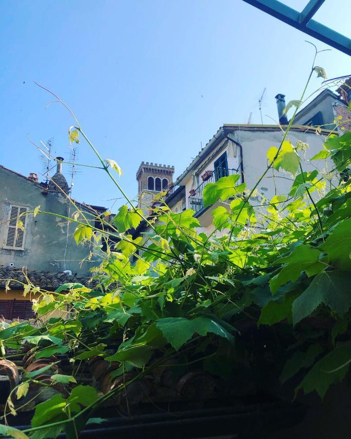 B&B Uva Fragola Перуджа Экстерьер фото